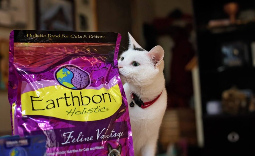 Earthborn Holistic Cat Food