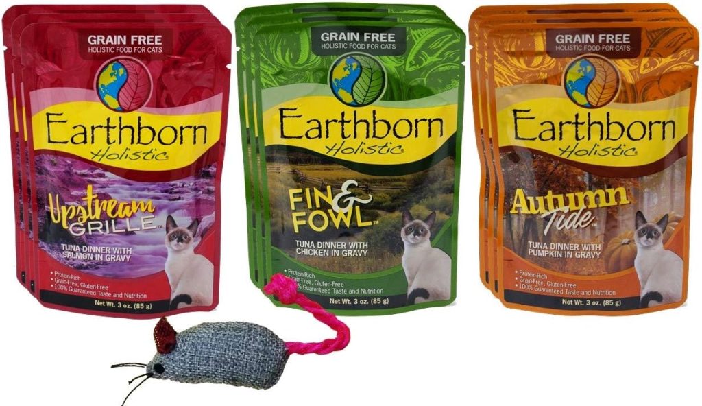 Earthborn holistic cat food